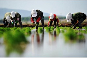 安徽博望區(qū)所到之處春耕備耕正忙 ()