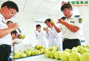 廣東深圳：161斤非法入境水果被截獲 ()