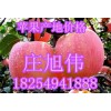 供應(yīng)山東紅富士蘋(píng)果