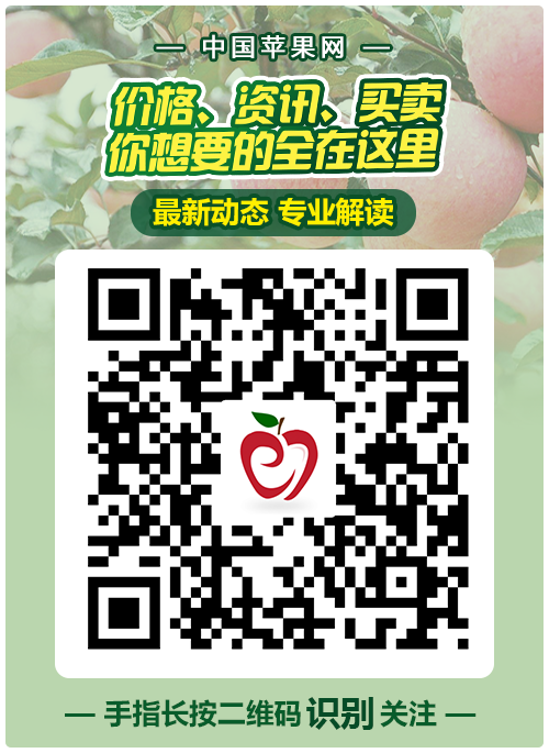 苹果公众号二维码