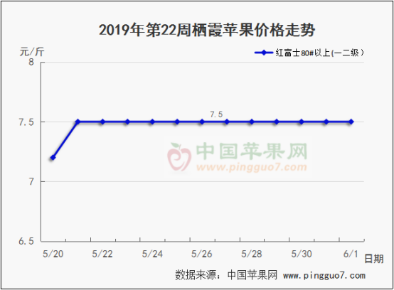 2019年第22周蘋果行情分析預測362