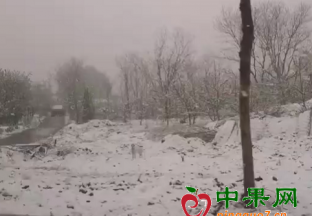 山东寒潮局部降雪 樱桃恐受影响 ()