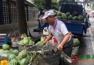 江苏镇江：阴雨持续  西瓜销量明显下降 ()