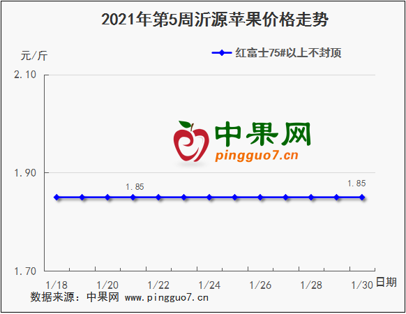 图片4