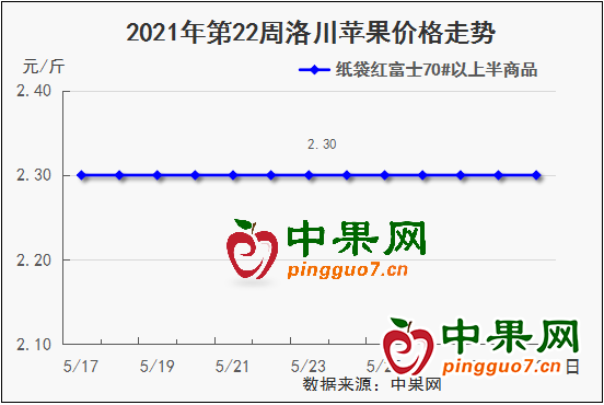 圖片13