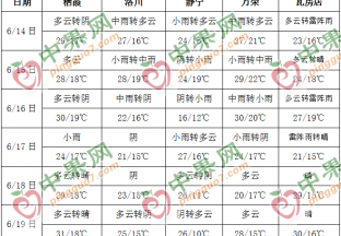 果农套袋农忙 周内降雨增多 ()