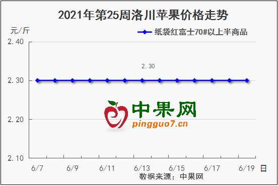 图片6