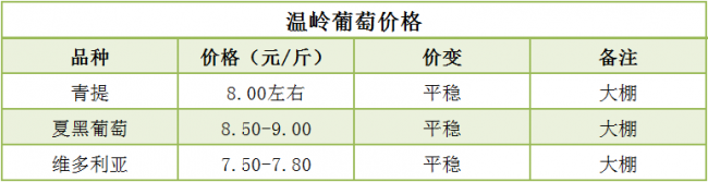 浙江温岭葡萄价格