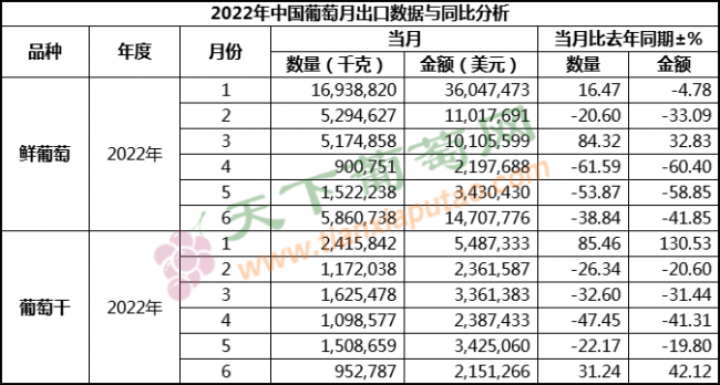 6月葡萄出口 按总量